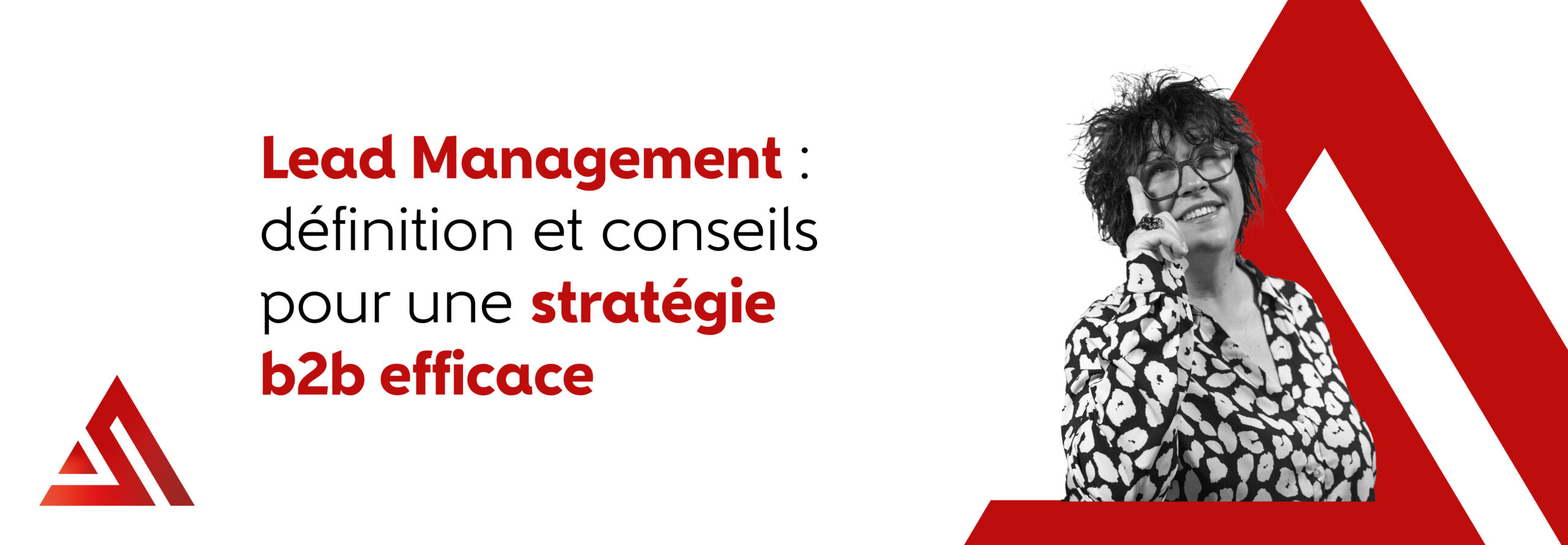 Blog Lead Management definition et conseils pour une strategie b2b efficace scaled